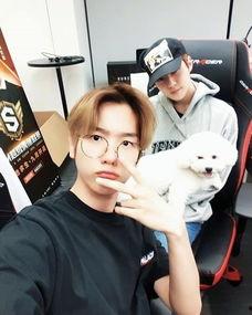 娱乐吃瓜酱特殊男孩,揭秘“特殊男孩”背后的故事与魅力